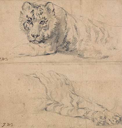 詹姆斯·沃德（James Ward）的《老虎的两项研究》（Two Studies of a Tiger）上图头部和肩膀下图后肢