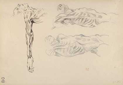 “Écorché欧仁·德拉克罗瓦对男性尸体的三项研究