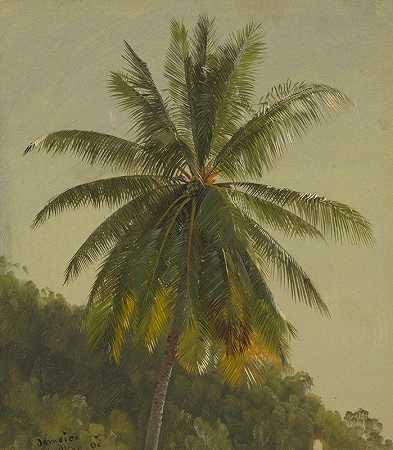 弗雷德里克·埃德温·丘奇的《西印度群岛棕榈树》