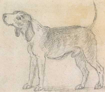 詹姆斯·西摩的《一只面向左边的猎犬》