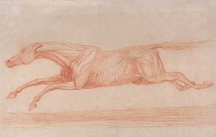乔治·斯塔布斯（George Stubbs）的《赛马场运动研究向左飞奔，半解剖学研究，皮肤剥开显示肌肉的运动》