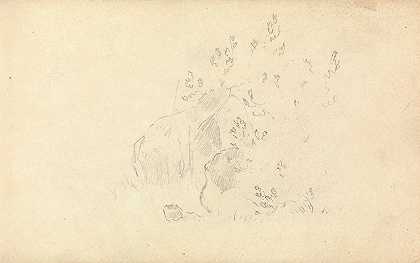 托马斯·布拉德肖的《岩石和树叶小品》