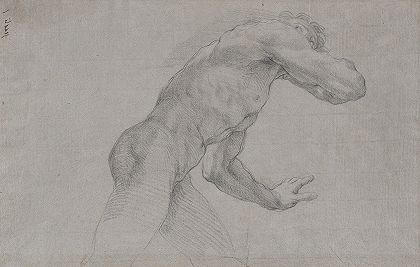 贾科莫·佐博利（Giacomo Zoboli）的《从侧面看裸体男子动作姿势的研究》