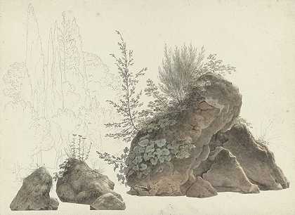 约瑟夫斯·奥古斯特斯·克尼普的《过度生长的岩石》