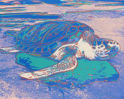 海龟，1985年。-安迪·沃霍尔。
