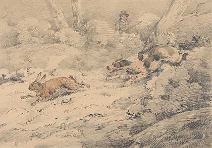 塞缪尔·阿尔肯的《猎犬追野兔》