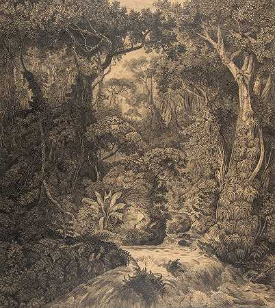 赫尔曼·冯·科尼格斯布伦的《锡兰丛林》