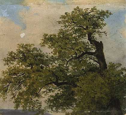 朱利叶斯·肖普的《树》