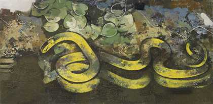 在水上滑翔的蛇（黄蛇），约1932年。-弗朗茨·泽弗·富尔