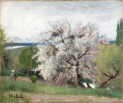 卡尔·弗雷德里克·希尔的《花开的果树》
