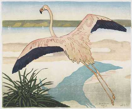 火烈鸟，第二版，1920年后。-Carl Moser先生
