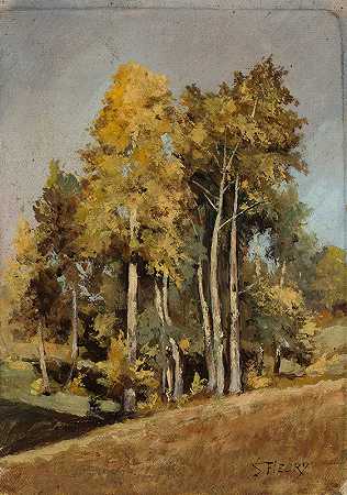 Stanisław Filibert Fleury的《树木研究》