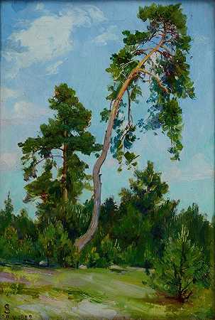 安布罗·萨巴托夫斯基的《倾斜的松树》