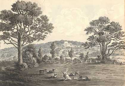 1829年5月，安妮·拉肖特（Anne Rushout）的《来自田野的粘土莓》（Clayberry from Field）