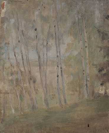Jan Ciągliński的《Maryino–桦树》