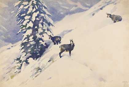 雪地里的羚羊，1925年。-路德维希·霍尔维恩