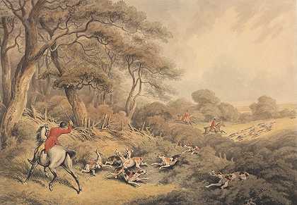 塞缪尔·霍伊特的《猎狐停止猎犬》