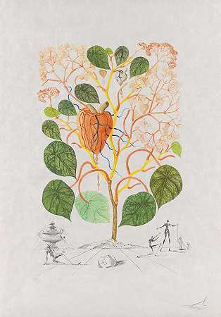 海棠（Anacardium recordins），1968年。-萨尔瓦多·达利