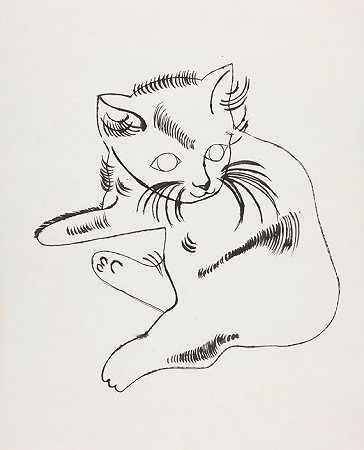 卧猫（Samsam），Um 1956年。-安迪·沃霍尔。