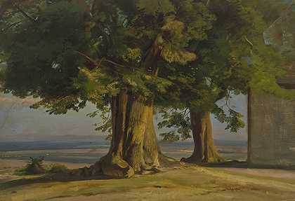 雅各布·贝克尔（Jakob Becker）的《老树和广阔平原的景色》