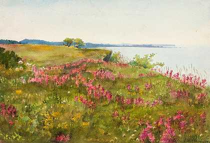 Lilly Walther的《风景（盛开的草地）》