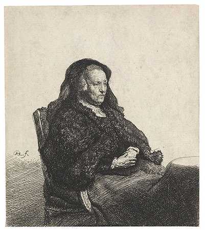伦勃朗的母亲戴着黑色面纱，1631年。-哈门什。伦勃兰特·范·里恩