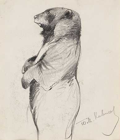 站立的熊，1910年。-弗里德里希·威廉·库内特