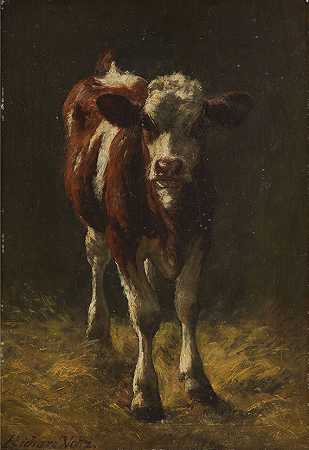 马厩里的小牛，1900年。-理查德·沃尔茨