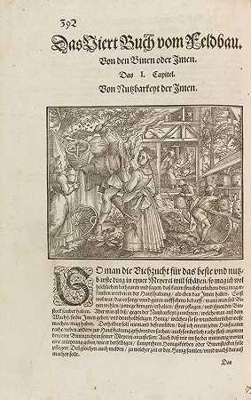 XV。费尔德鲍的书，1588年。-查尔斯·埃斯蒂安