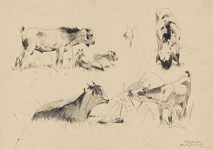 山羊，1891年。-弗里德里希·威廉·库内特