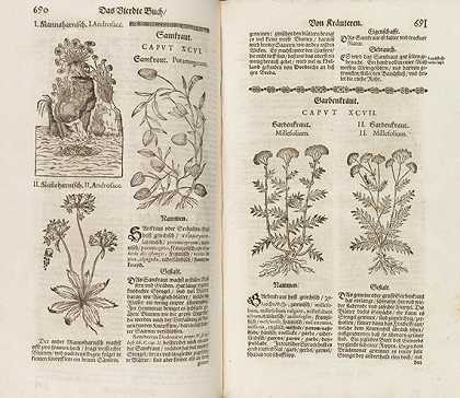 《新草药全书》，1678年。-安德里亚·马蒂奥利码头