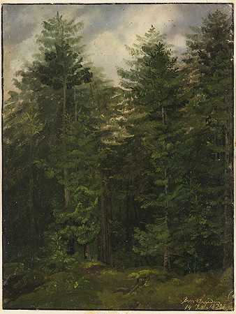伯希特斯加登附近的冷杉林，1830年。-克里斯蒂安·摩根斯特恩