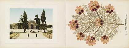 圣地的鲜花和照片，约1900年。-布洛斯·梅奥