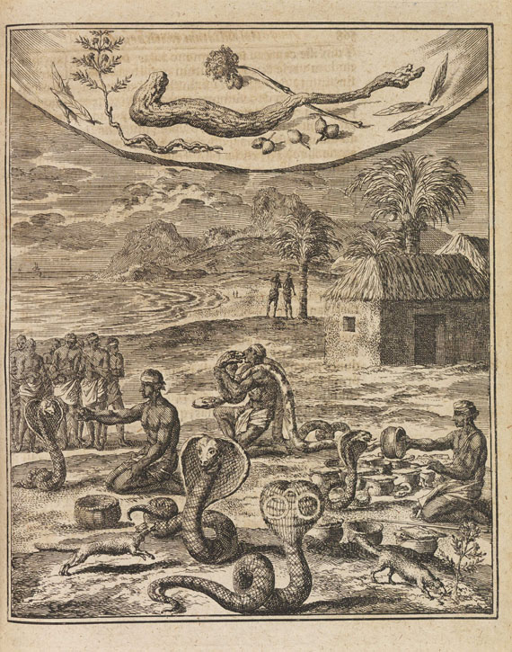 Amoenitatum Exoticarum, 1712.