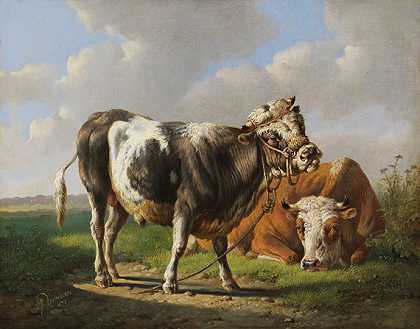 吹牛者（年轻的公牛和躺着的母牛），1872年。-Verhoesen先生
