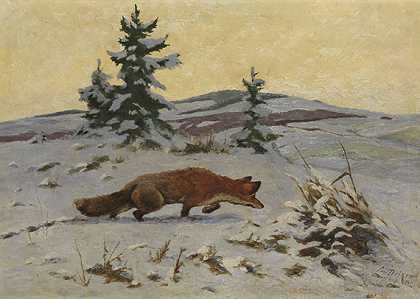 1922年，狐狸在雪地里猎鸟。-卡尔·戴克