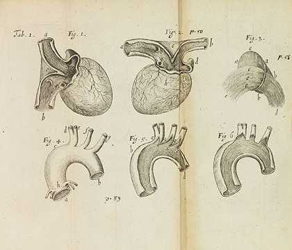 心脏治疗，1669年。-罗尔