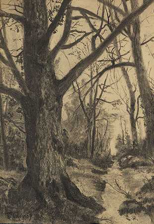 森林小径，1909年。-弗朗茨·斯卡尔比纳