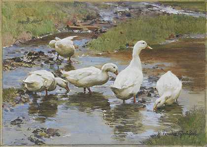 水边的鸭子，大约1890年。-弗朗茨·格拉（Franz Gräßel）