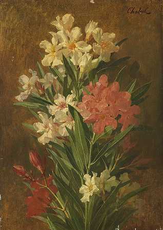 红色和白色开花夹竹桃，约1840年。-Pierre Adrien Chabal Dussury（皮埃尔·阿德里安·查巴尔·杜斯库里）