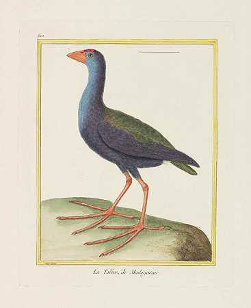 鸟类自然史，1770-1786年。-乔治·路易斯·勒克莱尔·布冯
