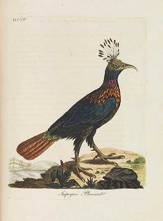 鸟类概述。Bde。1781-1787年，第I-III页。-约翰·莱瑟姆