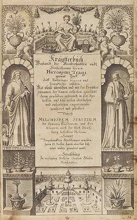药草书，1630年。-Hieronymus Bock