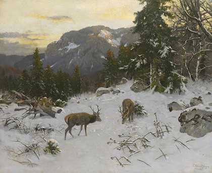 1900年左右，冬季山区的鹿。-约瑟夫·施密茨伯格