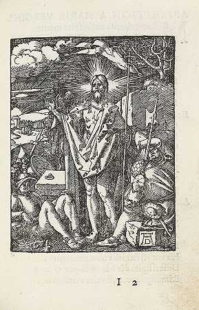 《激情》，1612年。-阿尔布雷希特·杜勒