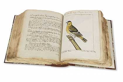 描述和插图中的鸟类，1806年。-卡尔·冯·林内