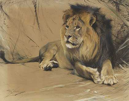 躺着的狮子，约1912-1916年。-威廉·库内特