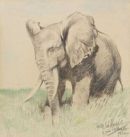 大草原上的非洲大象，1922年。-威廉·库内特