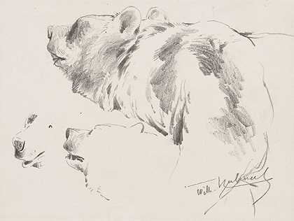 熊研究，嗯1900。-威廉·库内特