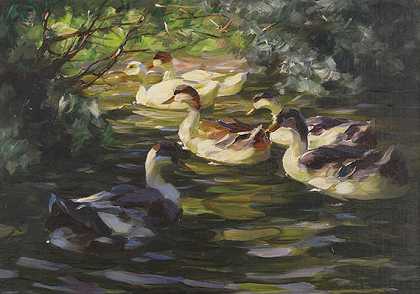 1905年左右，六只鸭子在岸边灌木丛下的水面上。-亚历山大·科斯特
